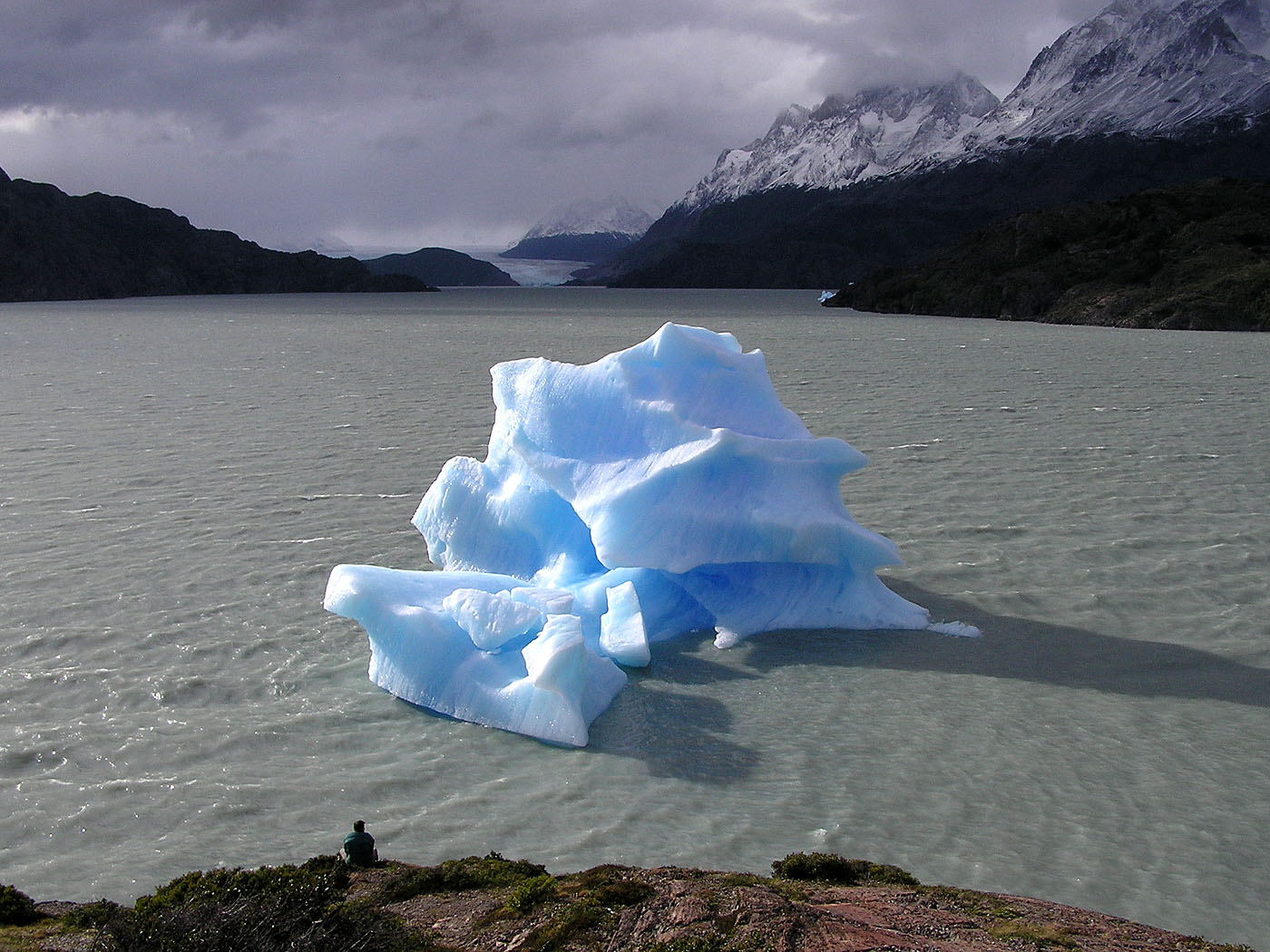 Iceberg and Glaciar Serrano, Torres del Paine National Park, Chile